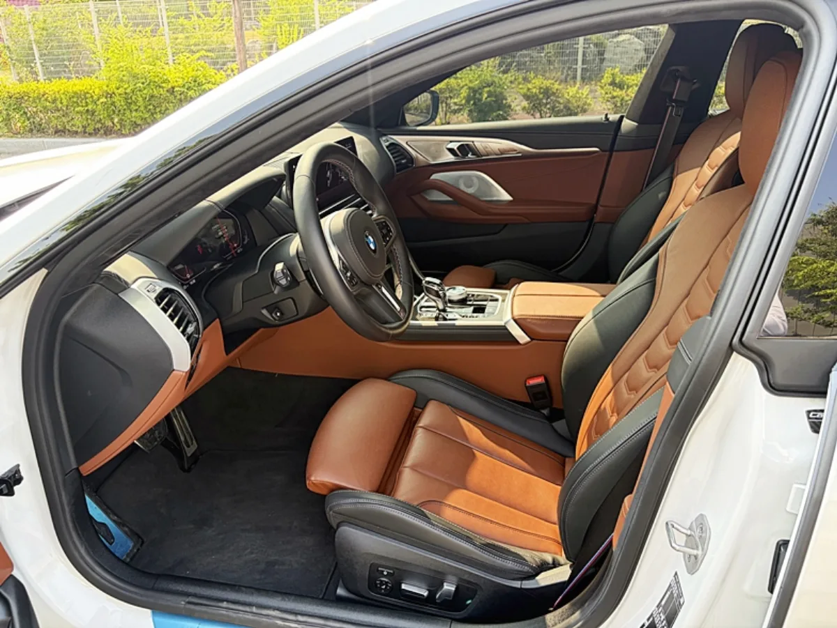 BMW 8 Series interior detail
