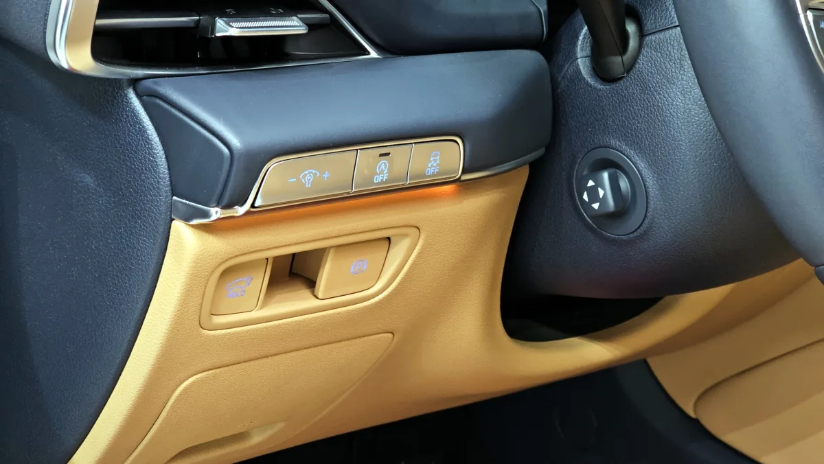 Genesis GV80 door controls